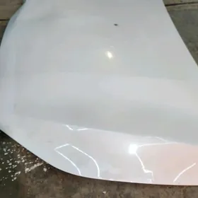 kia forte kapot morda