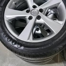 Karolla exskuliziw 16 lyk