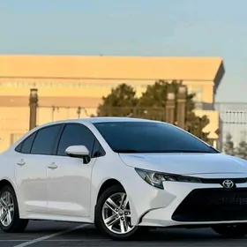 KAROLLA ARGINAL DISKA 2022