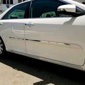 KEMRI MOLDING 2011.2017