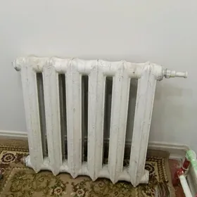 ataplenýa batareýka