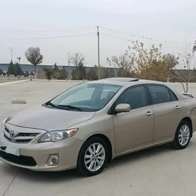 Toyota Corolla 2010