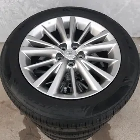 2015 karolla Halyji Radnoý 16