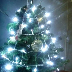 ЁЛКА ТОКЛЫ. АЙЛАНЯР. ОРСЫНКЫ