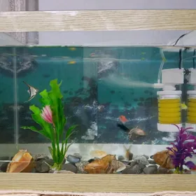Akwarium Аквариум