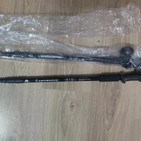 Скандинавские палки.