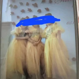 Geyilen  toy koynekler