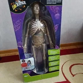 Täze yýly sőwgat набор анатоми