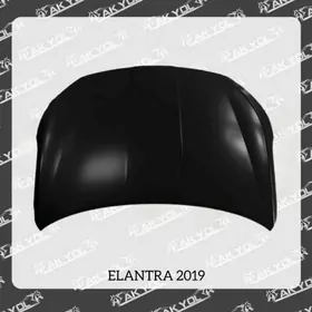 ELANTRA 2019 KAPOT
