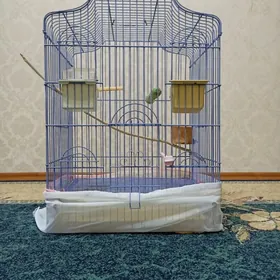 Большая клетка с комплектом