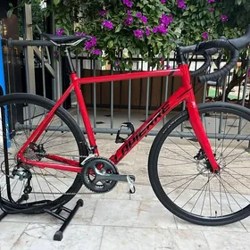 LAPİERRE SENSIUM 3.0 HD DİSK