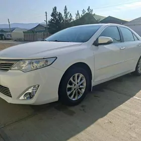 Toyota Camry 2013
