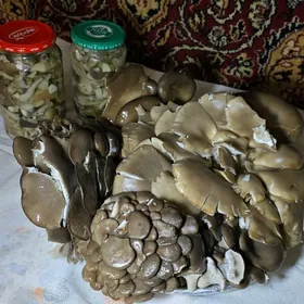 маринованные грибочки