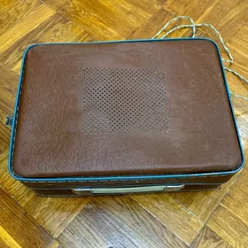 Plastinka пластинкa saz enjamy