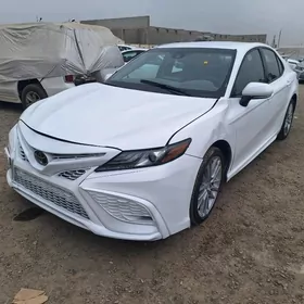 Toyota Camry 2023