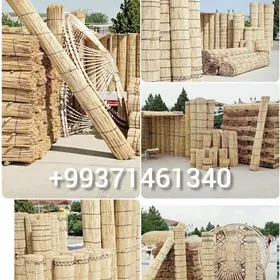 Гамыш Gamyş AK öy garaja öý