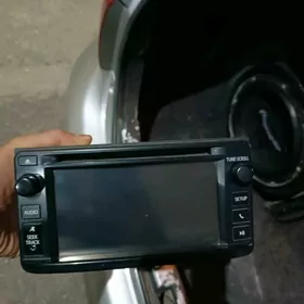 karolla radnoy manitor