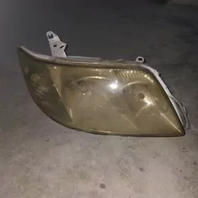 fara karolla halyjy sag