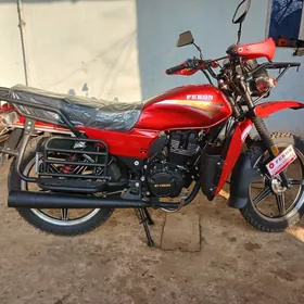 Fekon FK200-14G 2025