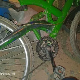 Welsepit spartiwni  tigir