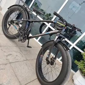 TIGIR BMW 26 LIK LOGA