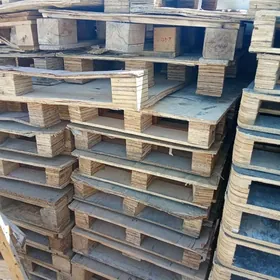 paner paddon palet faneru