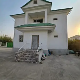 Taze zaman kotez 1 tapgyr