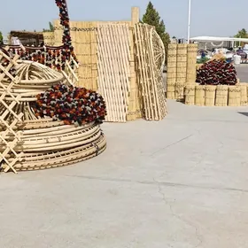 гамыш Gamyş AK öy gara Raşotgo