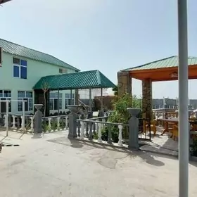 Anew Magtymguly 9-Gektar yer