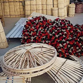 Gamyş AK öy garaja öý