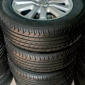 KAROLLA ARGINAL DISKA BALON