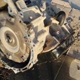 Titanik awalon karopka