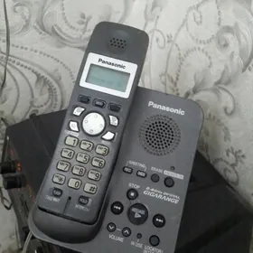 ДОМАШЕИЙ   ТЕЛЕФОН