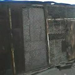 ️DEMIR GURLUŞYK UÇUN ️