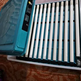 inkubator140 yumurtkalyk