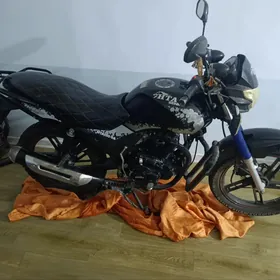 Fekon FK200-14G 2023