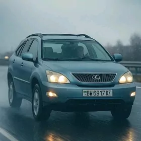 Lexus RX 330 2004