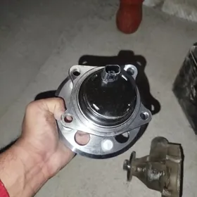 stupisa siena lexsus rx