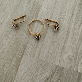 Yerevan gyzyl komplekt 585