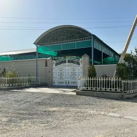 Bagyr Mirewe Багир Миреве