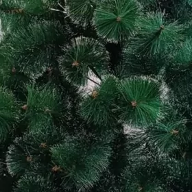 ёлка arça ýolka