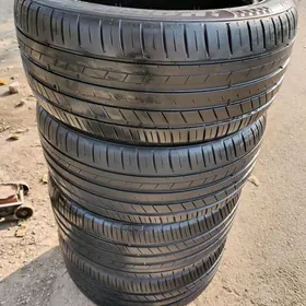 245 45 17 Pakryşga 3124 ýyl