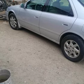 babycga orak disga 15lik