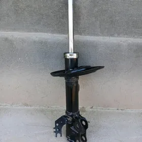 amersatr palta camry