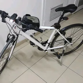 Tigir Original Spartiwnyy