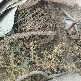 Демир тахта