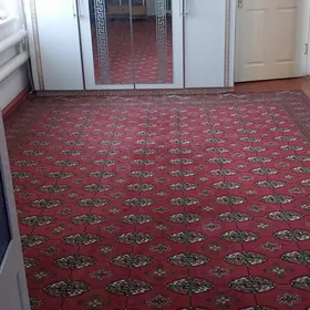 satlyk Mary Gres jay