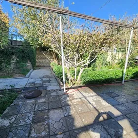 Änew 10sotka 3kom plan