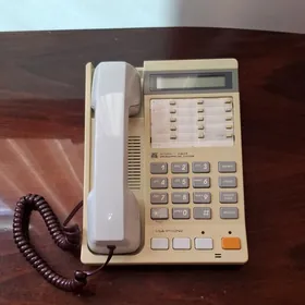 Domasniy telefon Panasonic