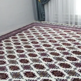 Plan jay Aeropotda kamp yçin